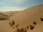 Gobi - pou na nsko-mongolsk hranici